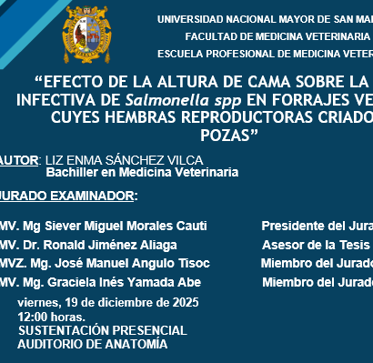 Sustentación de tesis de la bachiller Liz Enma Sánchez Vilca