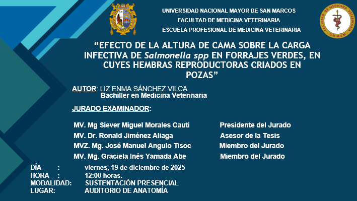 Sustentación de tesis de la bachiller Liz Enma Sánchez Vilca