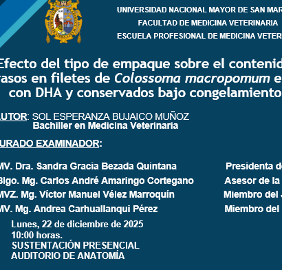 Sustentación de tesis de la bachiller Sol Esperanza Bujaico Muñoz