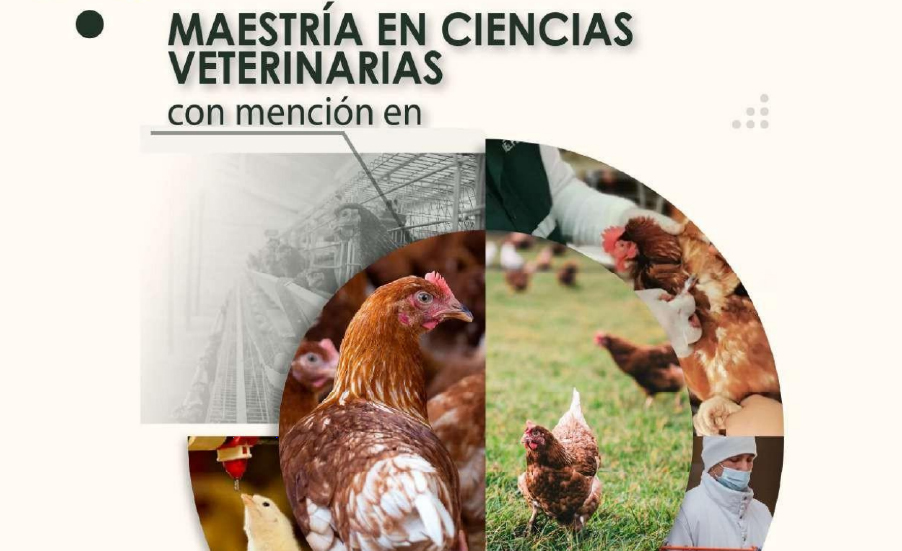 BROCHURE C.V. SANIDAD AVICOLA 2026