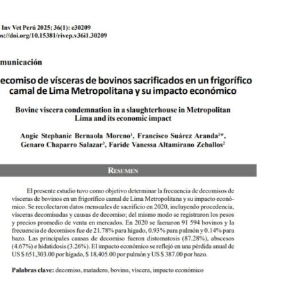 Decomiso de vísceras de bovinos sacrificados en un frigorífico