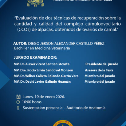 Sustentación de tesis de la bachiller Diego Jerson Alexander Castillo Pérez