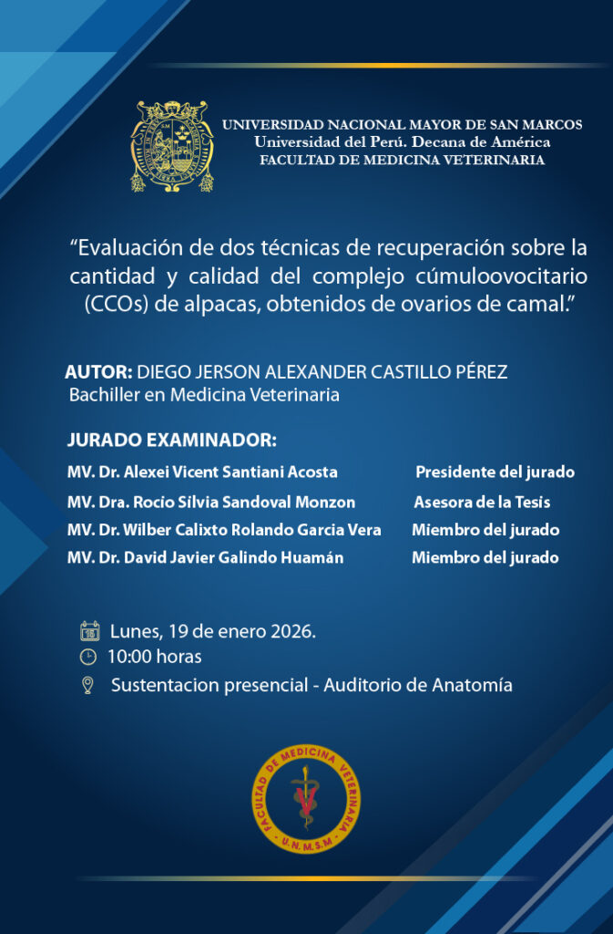 Sustentación de tesis de la bachiller Diego Jerson Alexander Castillo Pérez