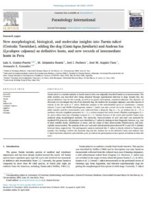 New morphological biological and molecular insights into Taenia talicei