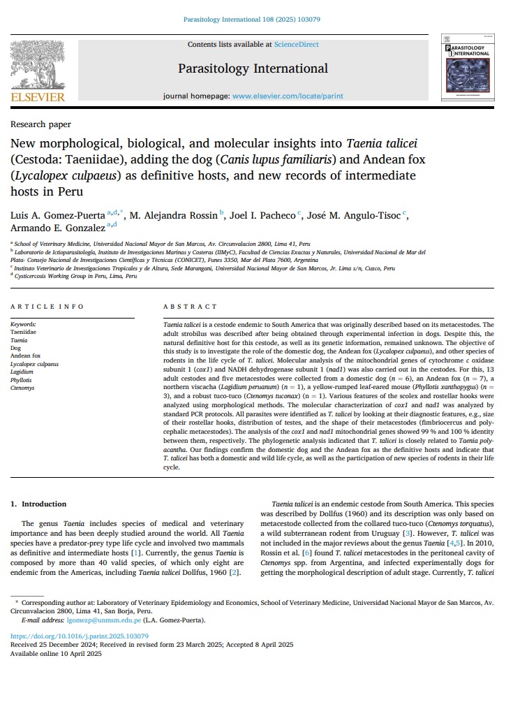 New morphological biological and molecular insights into Taenia talicei