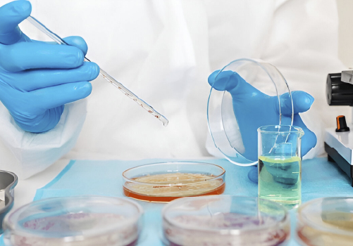 Epidemiología y economía veterinaria 11 bacteriologia1