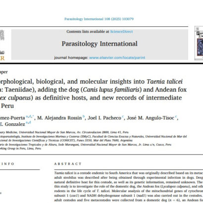 New morphological, biological, and molecular insights into Taenia talicei (Cestoda Taeniidae)