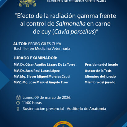 Sustentación de tesis de la bachiller Pedro Giles Cuya