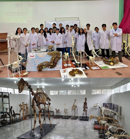 img Laboratorio de Anatomia Animal 100