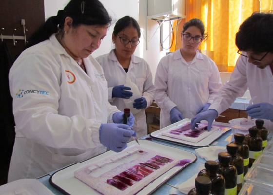 img Laboratorio de Anatomia Animal 3