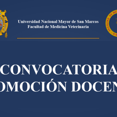 Convocatoria a promoción docente 2026
