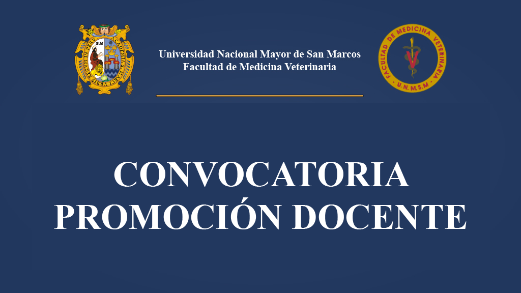 Convocatoria a promoción docente 2026