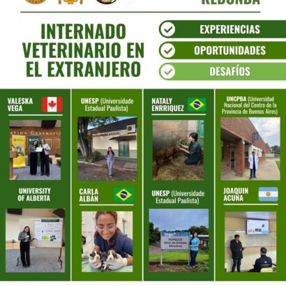 Internado veterinario en el extranjero: experiencias, oportunidades y desafíos