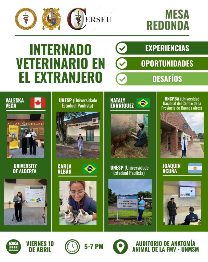 FLYER CERSEU 8 ABRIL