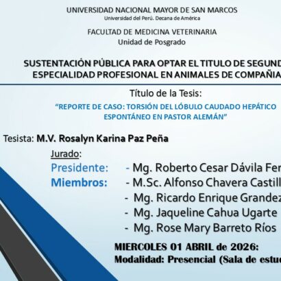 Sustentación de tesis del M.V. Rosalyn Karina Paz Peña