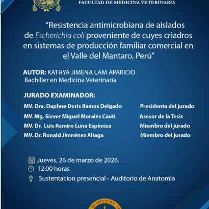 Sustentación de tesis de la bachiller KATHYA JIMENA LAM APARICIO