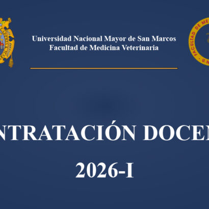 Contratación Docente de Pregrado en la Modalidad Presencial (Estudios Generales), correspondiente al Semestre Académico 2026-I