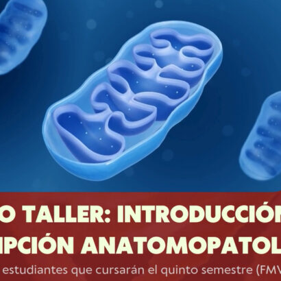Curso Taller: Introducción a la Descripción Anatomopatológica (20 de marzo)