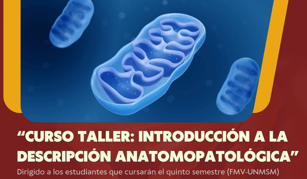 Curso Taller: Introducción a la Descripción Anatomopatológica (20 de marzo)