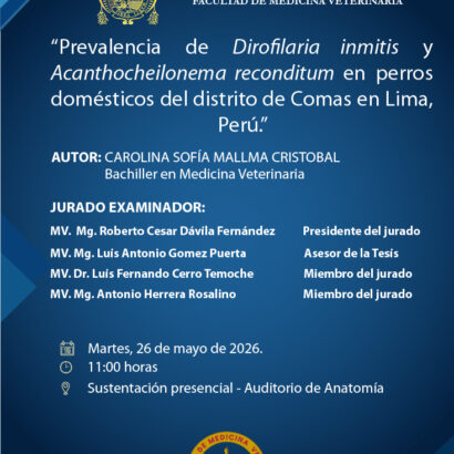 Sustentación de tesis del bachiller CAROLINA SOFÍA MALLMA CRISTOBAL