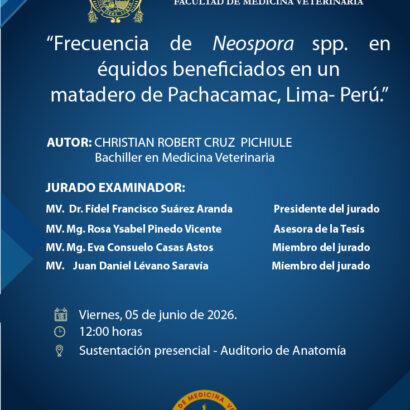 Sustentación de tesis del bachiller CHRISTIAN ROBERT CRUZ PICHIULE