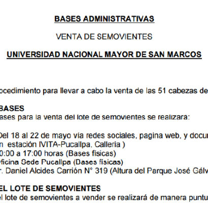 Venta de cabezas de ganado vacuno