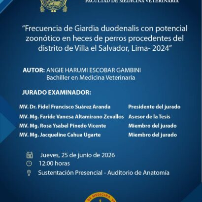 Sustentación de tesis del bachiller ANGIE HARUMI ESCOBAR GAMBINI