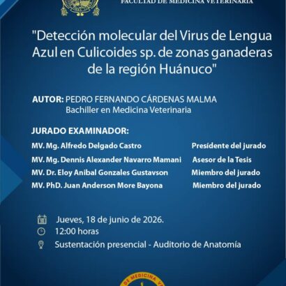 Sustentación de tesis del bachiller PEDRO FERNANDO CARDENAS MALMA