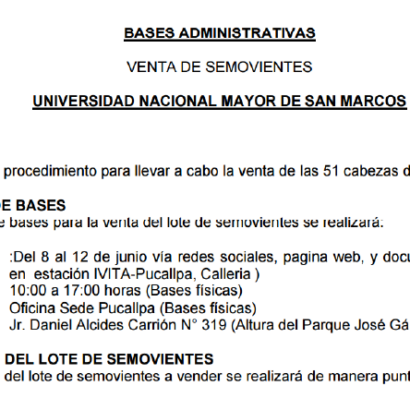 CONVOCATORIA PÚBLICA –  bases con  las fechas actualizadas para la venta de ganado de la Estación IVITA – Pucallpa.